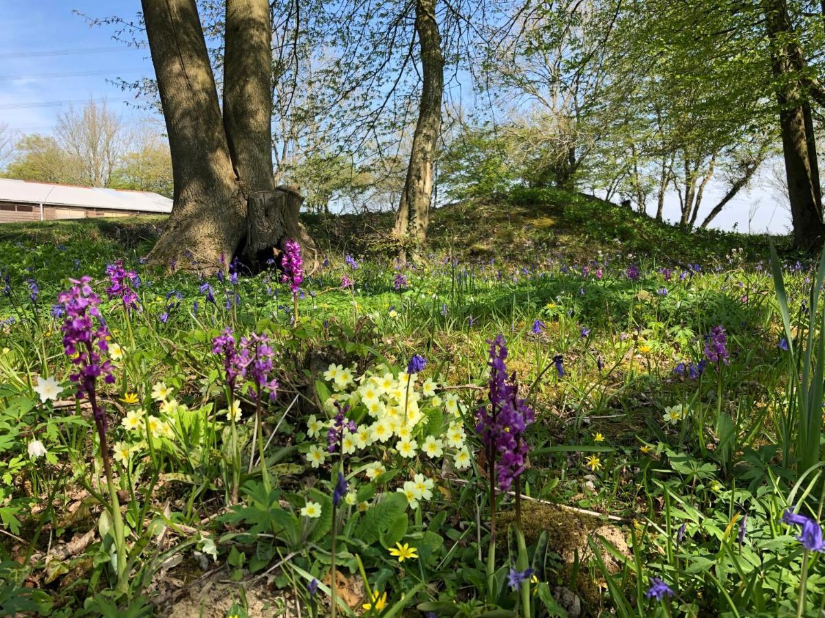 Scallow Campsite Lewes Eksteriør billede